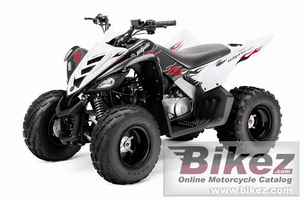 Yamaha Raptor 90