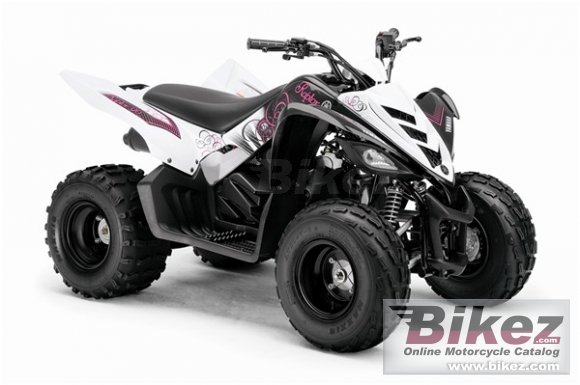 2009 Yamaha Raptor 90