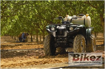 2009 Yamaha Grizzly 450 Auto 4x4 IRS
