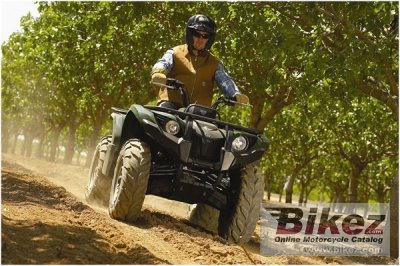 2009 Yamaha Grizzly 450 Auto 4x4 IRS