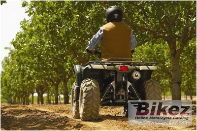 2009 Yamaha Grizzly 450 Auto 4x4 IRS