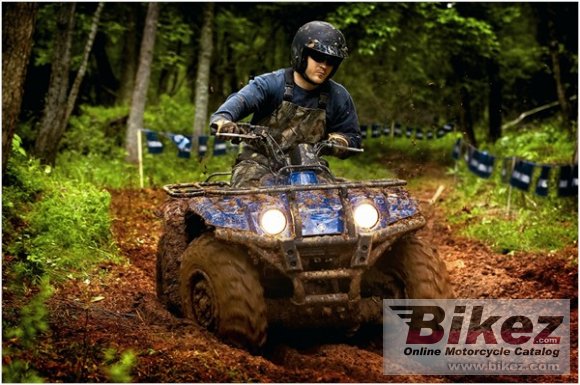 2009 Yamaha Big Bear 400 4x4 IRS