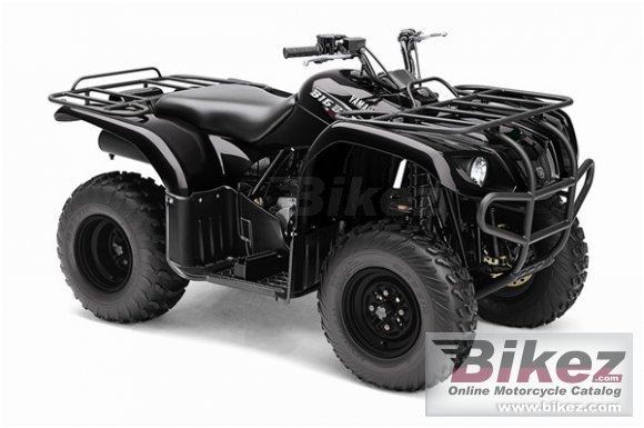 2009 Yamaha Big Bear 250