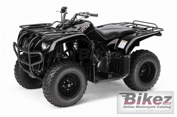 2009 Yamaha Big Bear 250