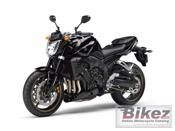 2009 Yamaha FZ1 ABS