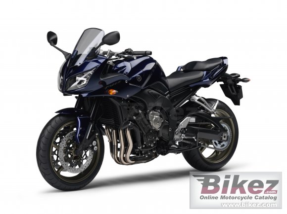 2009 Yamaha FZ1 Fazer