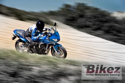 2009 Yamaha FZ6 Fazer S2 ABS
