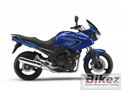 2009 Yamaha TDM 900A