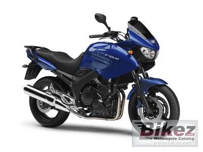 2009 Yamaha TDM 900A