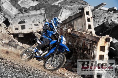 2009 Yamaha WR125R