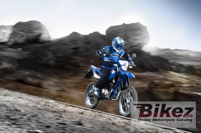 2009 Yamaha WR125R