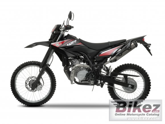 2009 Yamaha WR125R