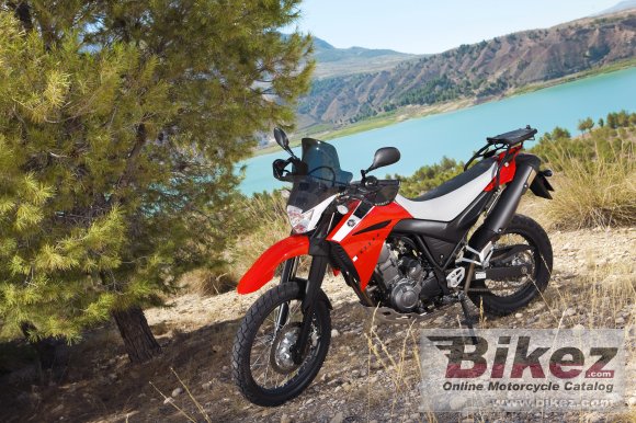 2009 Yamaha XT660R