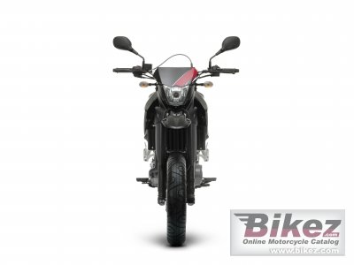 2009 Yamaha XT660X