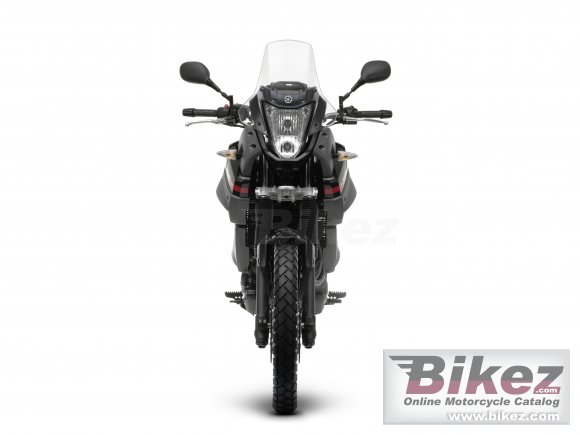 2009 Yamaha XT660Z Tenere