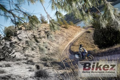 2009 Yamaha XT660Z Tenere