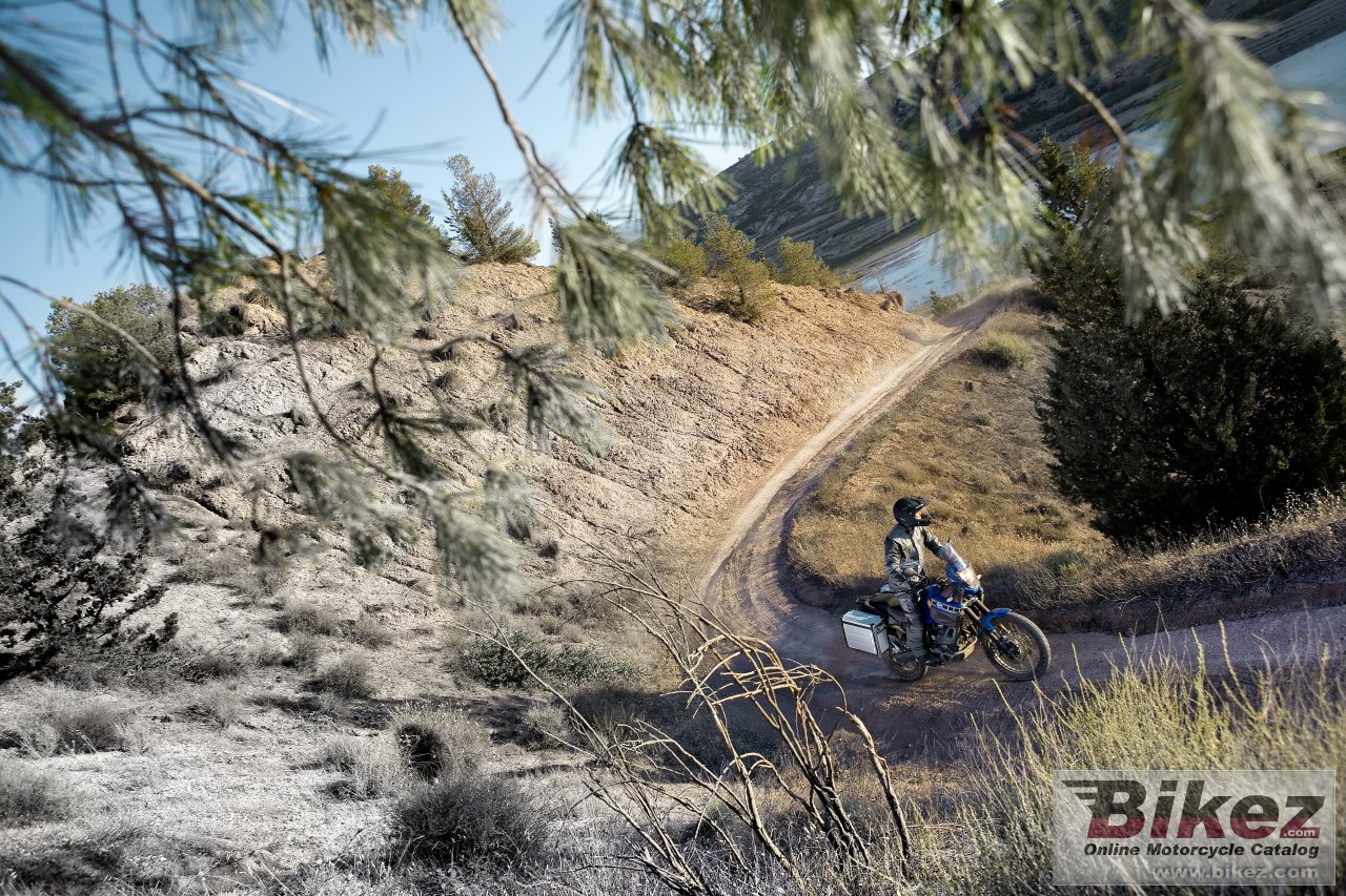 Yamaha XT660Z Tenere