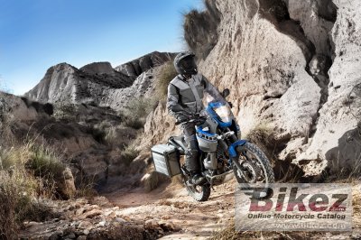 2009 Yamaha XT660Z Tenere