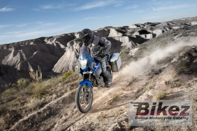 2009 Yamaha XT660Z Tenere