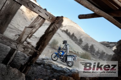 2009 Yamaha XT660Z Tenere