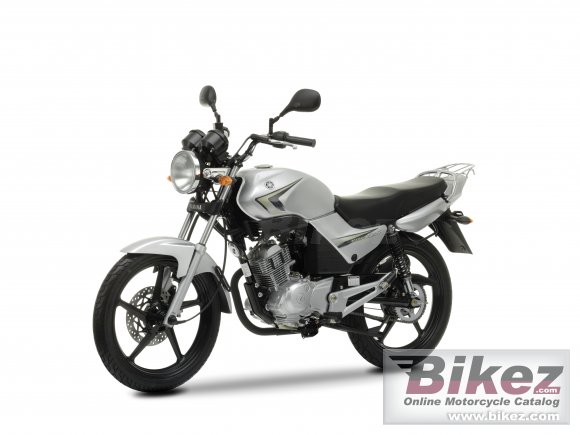 2009 Yamaha YBR125