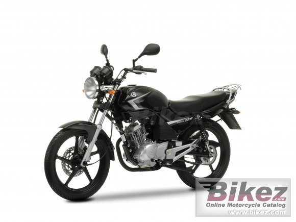 2009 Yamaha YBR125