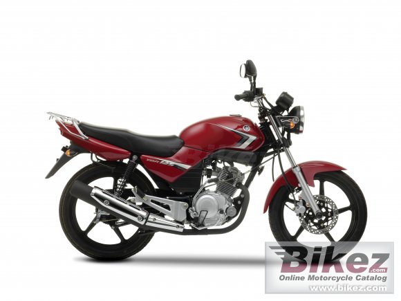 2009 Yamaha YBR125