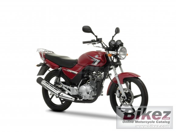 2009 Yamaha YBR125