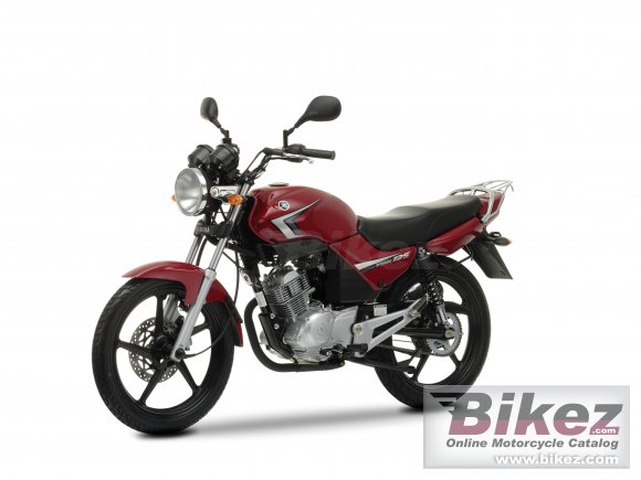 2009 Yamaha YBR125