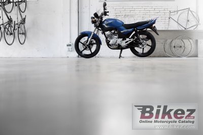 2009 Yamaha YBR125