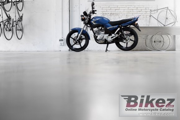 2009 Yamaha YBR125