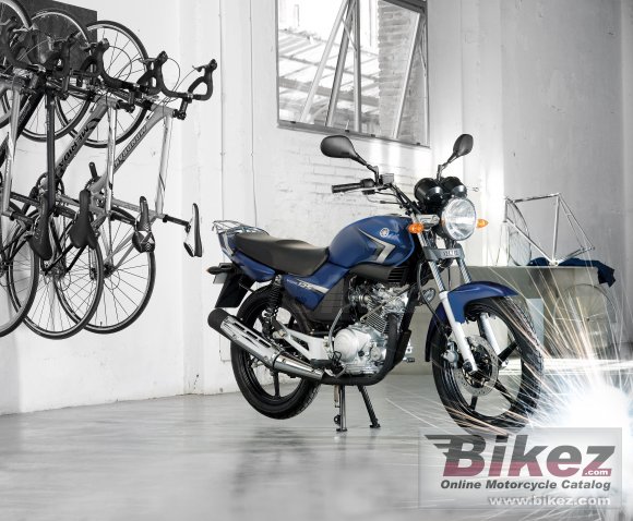 2009 Yamaha YBR125