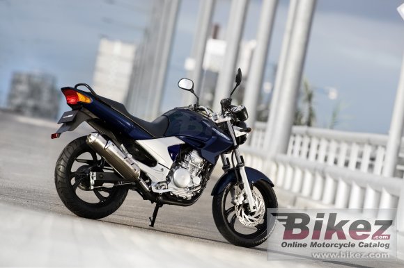 2009 Yamaha YBR250