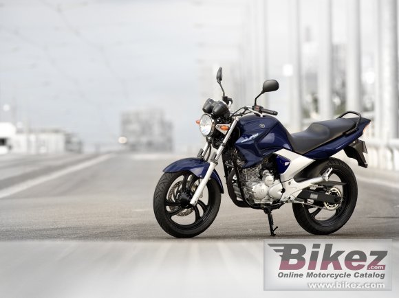 2009 Yamaha YBR250