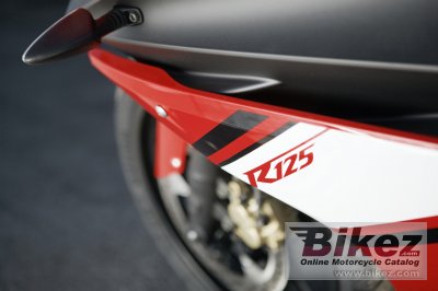 2009 Yamaha YZF-R 125