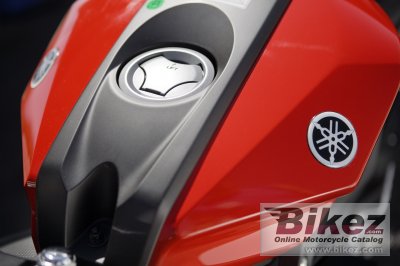 2009 Yamaha YZF-R 125
