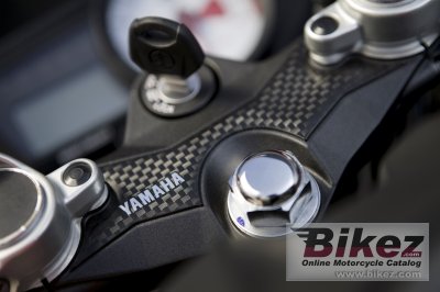 2009 Yamaha YZF-R 125
