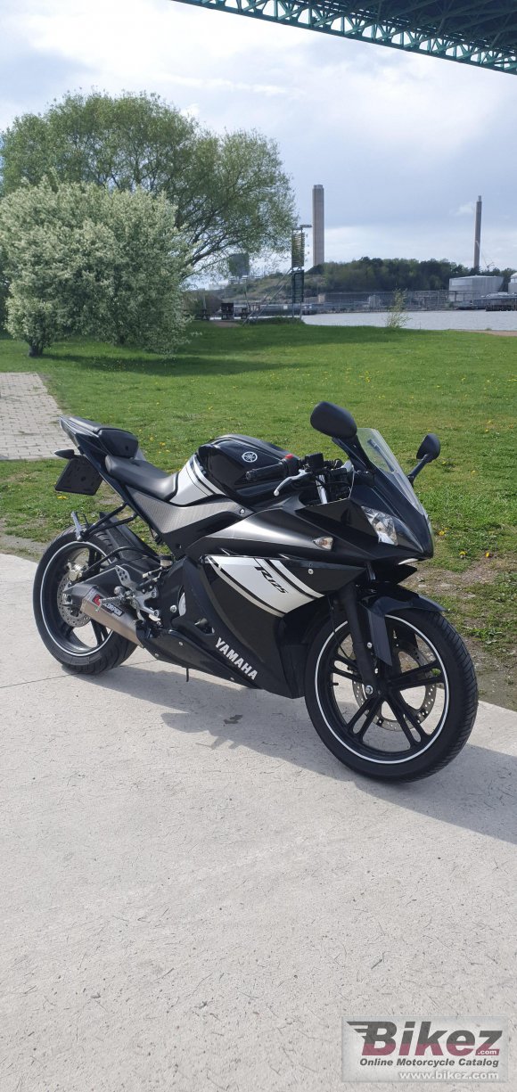 2009 Yamaha YZF-R 125