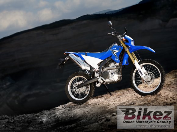 2010 Yamaha WR250R