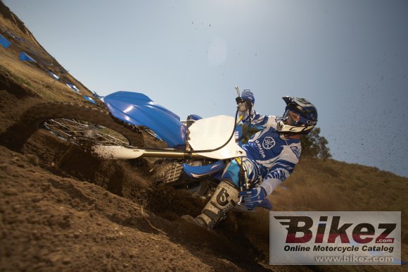 2010 Yamaha YZ450F