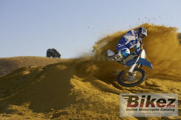 2010 Yamaha YZ450F