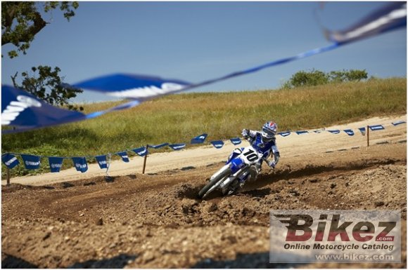 2010 Yamaha YZ125