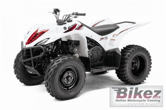 2010 Yamaha Wolverine 450 Auto. 4X4