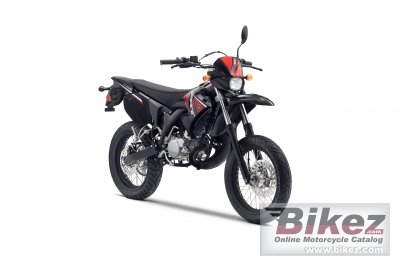 2010 Yamaha DT50X