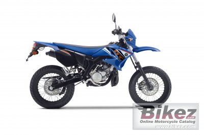 2010 Yamaha DT50X