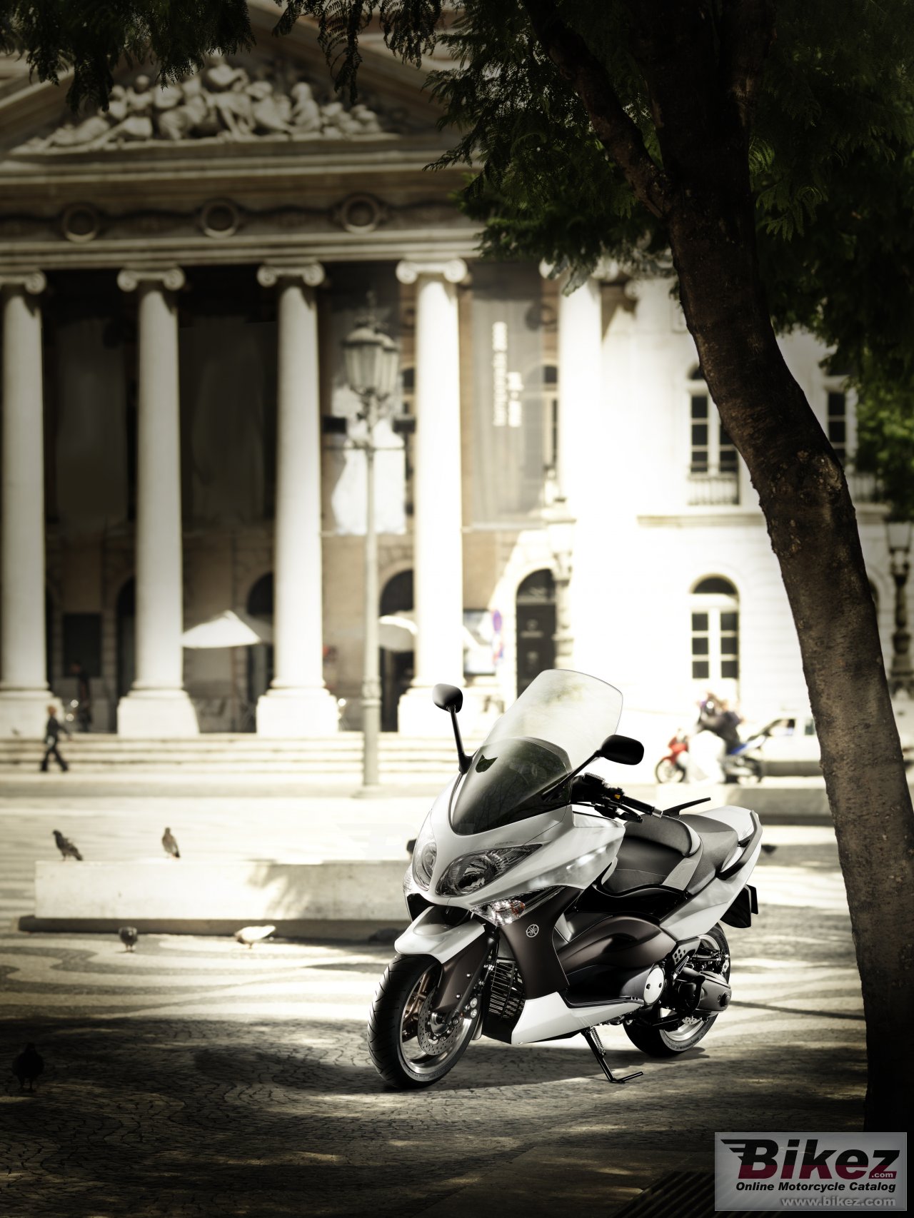 Yamaha TMAX White Max