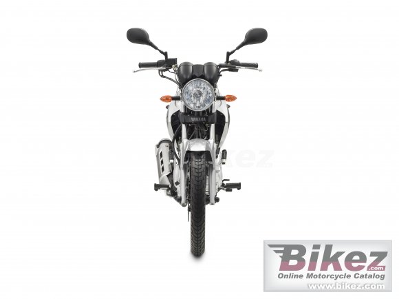 2010 Yamaha YBR 125