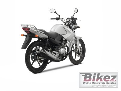 2010 Yamaha YBR 125