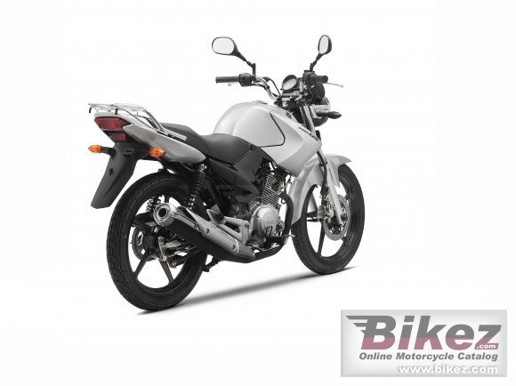 2010 Yamaha YBR 125