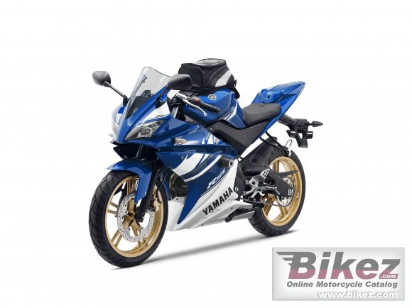 2010 Yamaha YZF-R 125